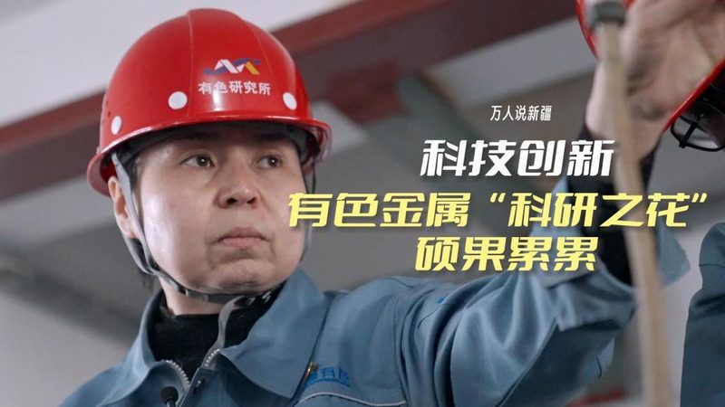 软件测试流程：揭秘高效测试的五大步骤